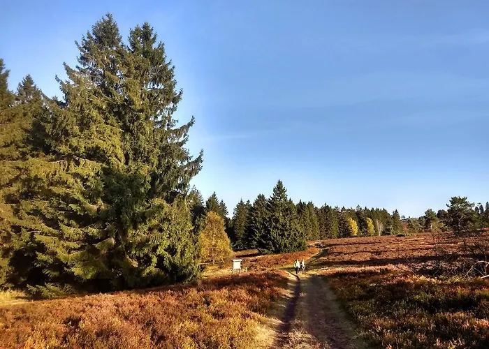 Apartment Hillebachsee *